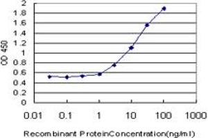 Detection limit for recombinant GST tagged LRG1 is approximately 0. (LRG1 Antikörper  (AA 37-347))