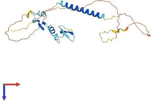 TACI Protein (AA 1-249) (His tag)