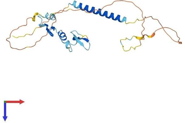 TACI Protein (AA 1-249) (His tag)