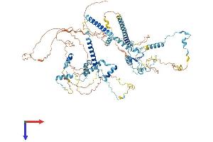 SART1 Protein (AA 1-806) (His tag)