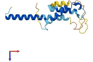 THRSP Protein (AA 1-146) (His tag)