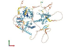 AlphaFold protein structure predicition of Mouse Recombinant Chtf18 Protein, UniprotID Q8BIW9
