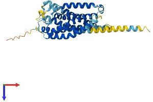 P2RY10 Protein (AA 1-328) (His tag)