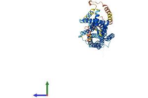 Protein Structure (PS) image for Hypocretin (Orexin) Receptor 1 (HCRTR1) (AA 1-416) protein (His tag) (ABIN7556512)