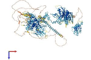 GCN2 Protein (AA 1-1648) (His tag)