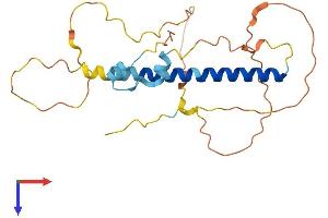 Chromosome 1 Open Reading Frame 190 (C1orf190) (AA 1-239) protein (His tag)