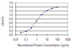 Detection limit for recombinant GST tagged WDHD1 is 0. (WDHD1 Antikörper  (AA 1031-1128))