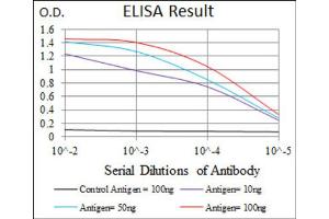 Red: Control Antigen (100ng) ; Purple: Antigen (10ng) ; Green: Antigen (50ng) ; Blue: Antigen (100ng). (ALPL Antikörper)