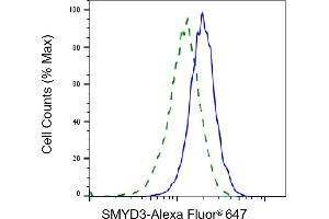 Validation of SMYD3 knockdown using flow cytometry. (Rekombinanter SMYD3 Antikörper)