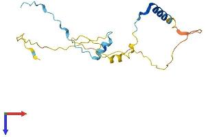 PPP1R1A Protein (AA 1-171) (His tag)