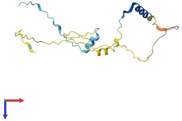PPP1R1A Protein (AA 1-171) (His tag)