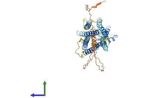 Protein Structure (PS) image for G Protein-Coupled Receptor 143 (GPR143) (AA 1-404) protein (His tag) (ABIN7554048)
