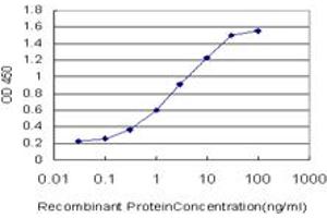 Detection limit for recombinant GST tagged KYNU is approximately 0. (KYNU Antikörper  (AA 2-108))