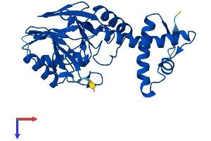 LACTB2 Protein (AA 1-288) (His tag)