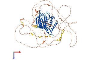 PTPN12 Protein (AA 1-780) (His tag)