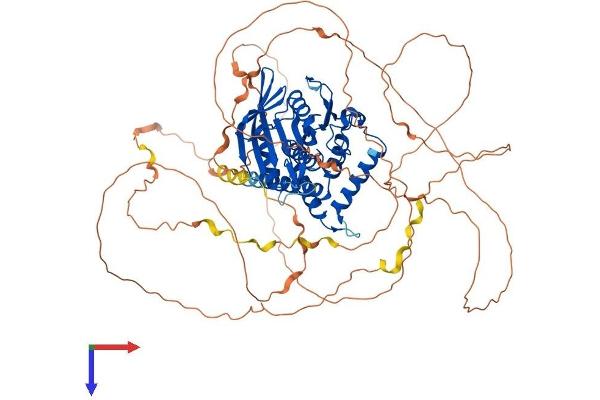 PTPN12 Protein (AA 1-780) (His tag)