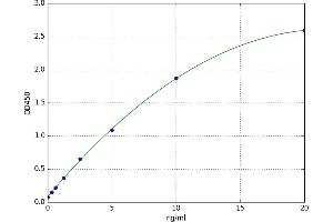 3-Hydroxy-3-Methylglutaryl-CoA Reductase (HMGCR) ELISA Kit