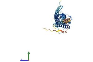 Protein Structure (PS) image for Lipoma HMGIC Fusion Partner-Like 4 (LHFPL4) (AA 1-247) protein (His tag) (ABIN7549040)