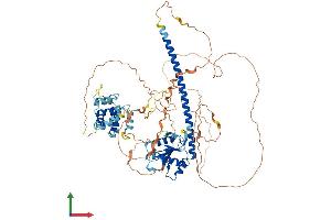 Protein Structure (PS) image for Toll-Like Receptor Adaptor Molecule 1 (TICAM1) (AA 1-732) protein (His tag) (ABIN7564258)