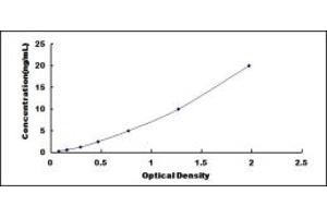 Typical standard curve (DBP ELISA Kit)