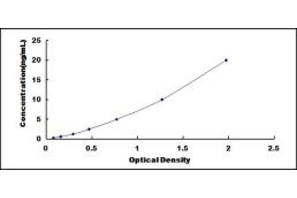 DBP ELISA Kit