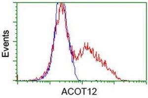 HEK293T cells transfected with either RC210445 overexpress plasmid (Red) or empty vector control plasmid (Blue) were immunostained by anti-ACOT12 antibody (ABIN2454263), and then analyzed by flow cytometry. (ACOT12 Antikörper)