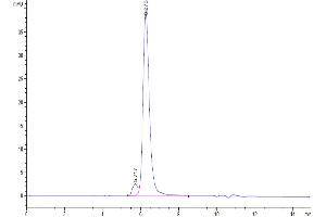 Size-exclusion chromatography-High Pressure Liquid Chromatography (SEC-HPLC) image for Interleukin 15 Receptor, alpha (IL15RA) (AA 31-205) protein (His-Avi Tag,Biotin) (ABIN7274957)