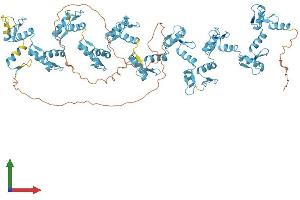AlphaFold protein structure predicition of Human Recombinant ZNF841 Protein, UniprotID Q6ZN19