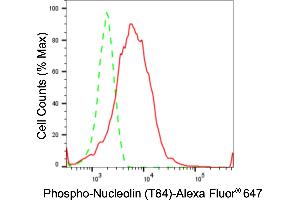 Flow cytometric analysis of Phospho-Nucleolin (T84) expression in HeLa cells using Phospho-Nucleolin (T84) antibody (ABIN7799670), 1:2,000).