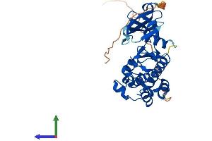 Protein Structure (PS) image for Pim-3 Oncogene (PIM3) (AA 1-326) protein (His tag) (ABIN7556527)