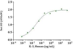 IL-3, Human stimulates cell proliferation of TF-1 cells. (IL-3 Protein (AA 20-152))