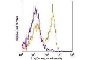 Flow Cytometry (FACS) image for anti-CD3 (CD3) antibody (APC-Cy7) (ABIN2660670) (CD3 Antikörper  (APC-Cy7))