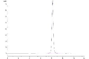 Size-exclusion chromatography-High Pressure Liquid Chromatography (SEC-HPLC) image for Guanylate Cyclase 2C (Heat Stable Enterotoxin Receptor) (GUCY2C) (AA 24-430) protein (His tag) (ABIN7274713)