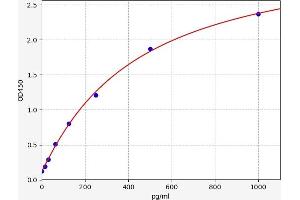 IFNE ELISA Kit