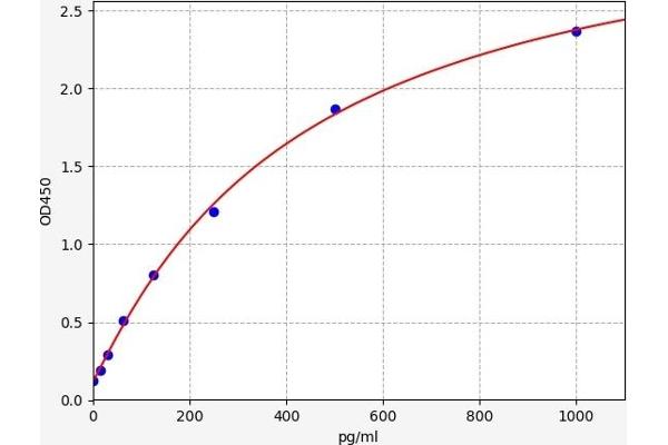 IFNE ELISA Kit