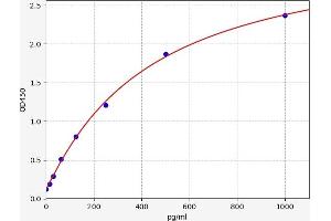 Typical standard curve (IFNE ELISA Kit)