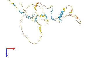 CDCA3 Protein (AA 1-268) (His tag)