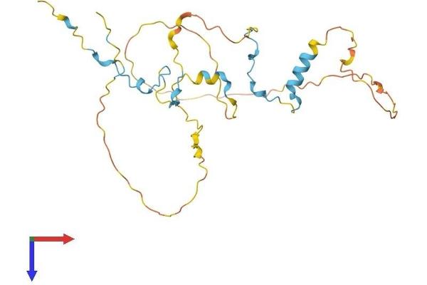 CDCA3 Protein (AA 1-268) (His tag)