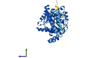 Protein Structure (PS) image for Fatty Acyl CoA Reductase 1 (FAR1) (AA 1-515) protein (His tag) (ABIN7560226)