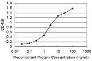 Detection limit for recombinant GST tagged BOLL is approximately 0. (BOLL Antikörper  (AA 185-283))