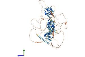 AlphaFold protein structure predicition of Human Recombinant KCNH2 Protein, UniprotID Q12809