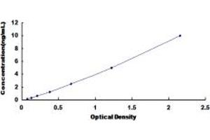 Typical standard curve