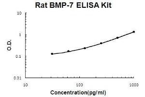 Rat BMP-7 PicoKine ELISA Kit standard curve (BMP7 ELISA Kit)