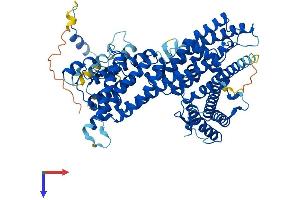 MAK10/NAA35 Protein (AA 1-725) (His tag)