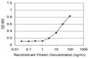 Detection limit for recombinant GST tagged PAX8 is approximately 3ng/ml as a capture antibody. (PAX8 Antikörper  (AA 1-450))