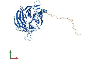 Protein Structure (PS) image for Excision Repair Cross-Complementing Rodent Repair Deficiency, Complementation Group 8 (ERCC8) (AA 1-396) protein (His tag) (ABIN7553817)