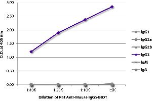 ELISA plate was coated with purified mouse IgG1, IgG2a, IgG2b, IgG3, IgM, and IgA. (Ratte anti-Maus IgG3 Antikörper (Biotin))