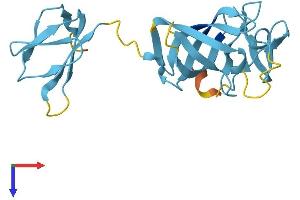 EXOSC1 Protein (AA 1-195) (His tag)