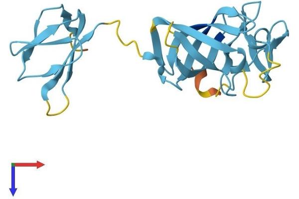 EXOSC1 Protein (AA 1-195) (His tag)