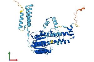 AlphaFold protein structure predicition of Human Recombinant HSD11B2 Protein, UniprotID P80365